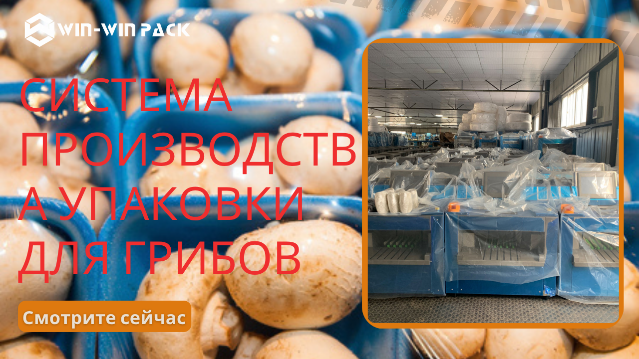Система производства упаковки из грибов