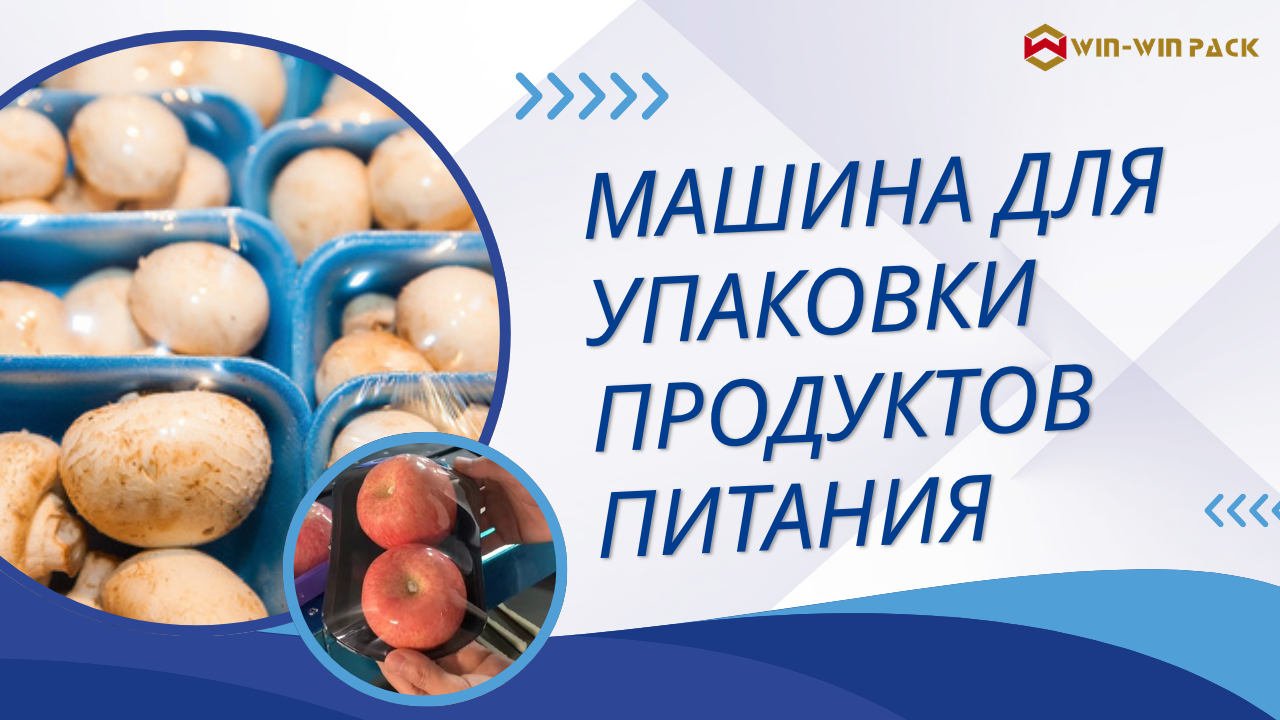 Почему упаковочная машина для продуктов питания необходима современному пищевому бизнесу?